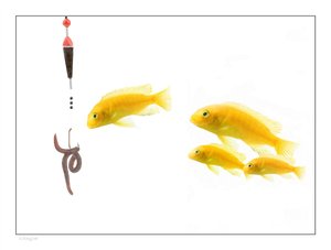 方案和传统方法对比评测